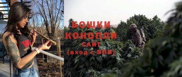 сатива Беломорск