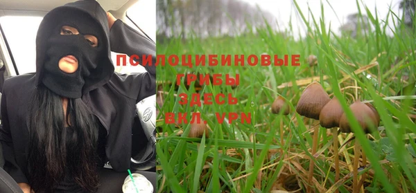 a pvp Заводоуковск